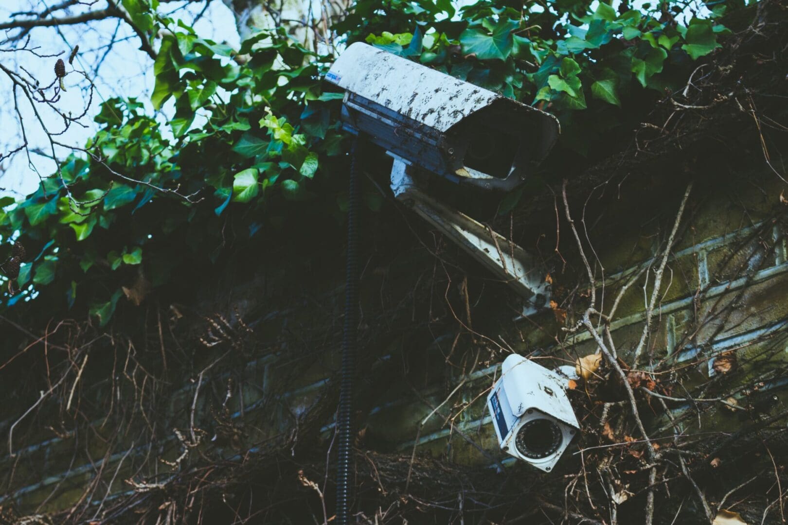 A camera sitting in the middle of a field.