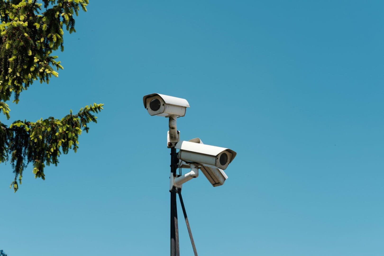 Two cameras on a pole with trees in the background